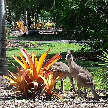 Bluegrass Bnb Bundaberg Exterior foto